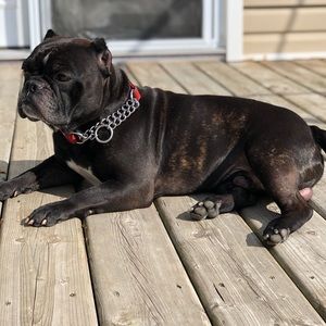 Meet your Posher, Michelle